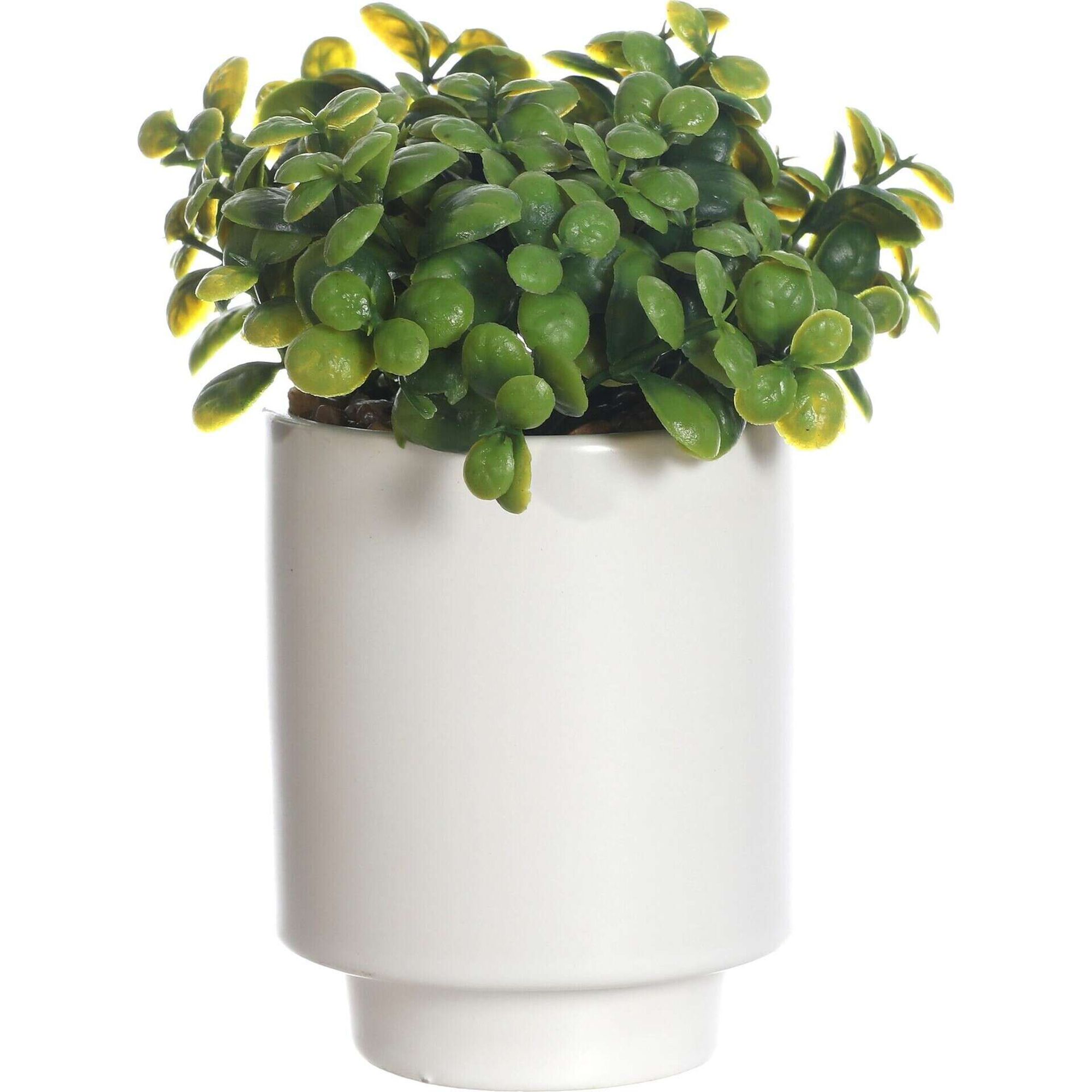 Planta Artificial Suculenta com Vaso Branco Planta Artificial Suculenta com Vaso Branco
