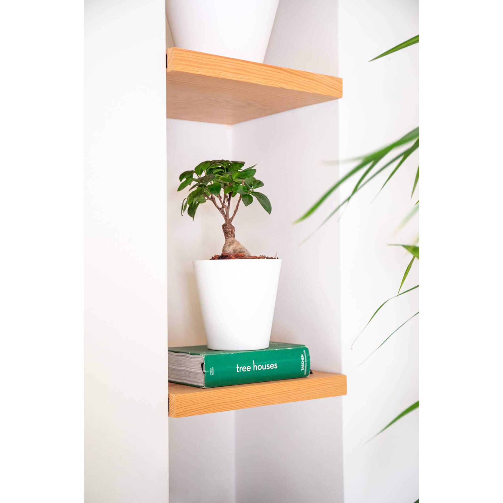 Vaso Redondo Plástico 12,5cm Branco