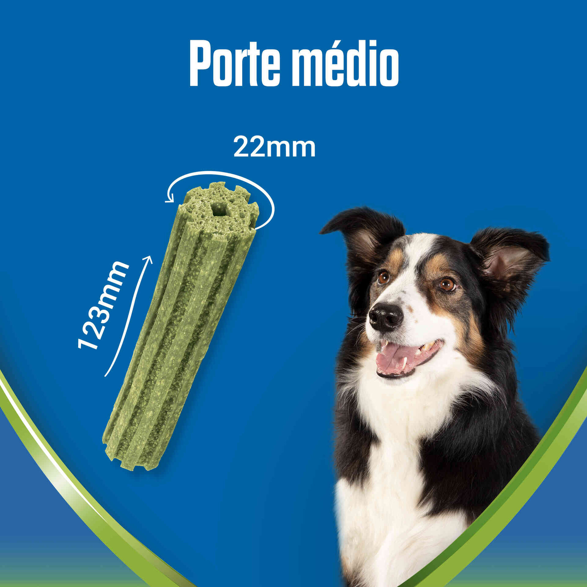 Snack para Cão Médio Activefresh