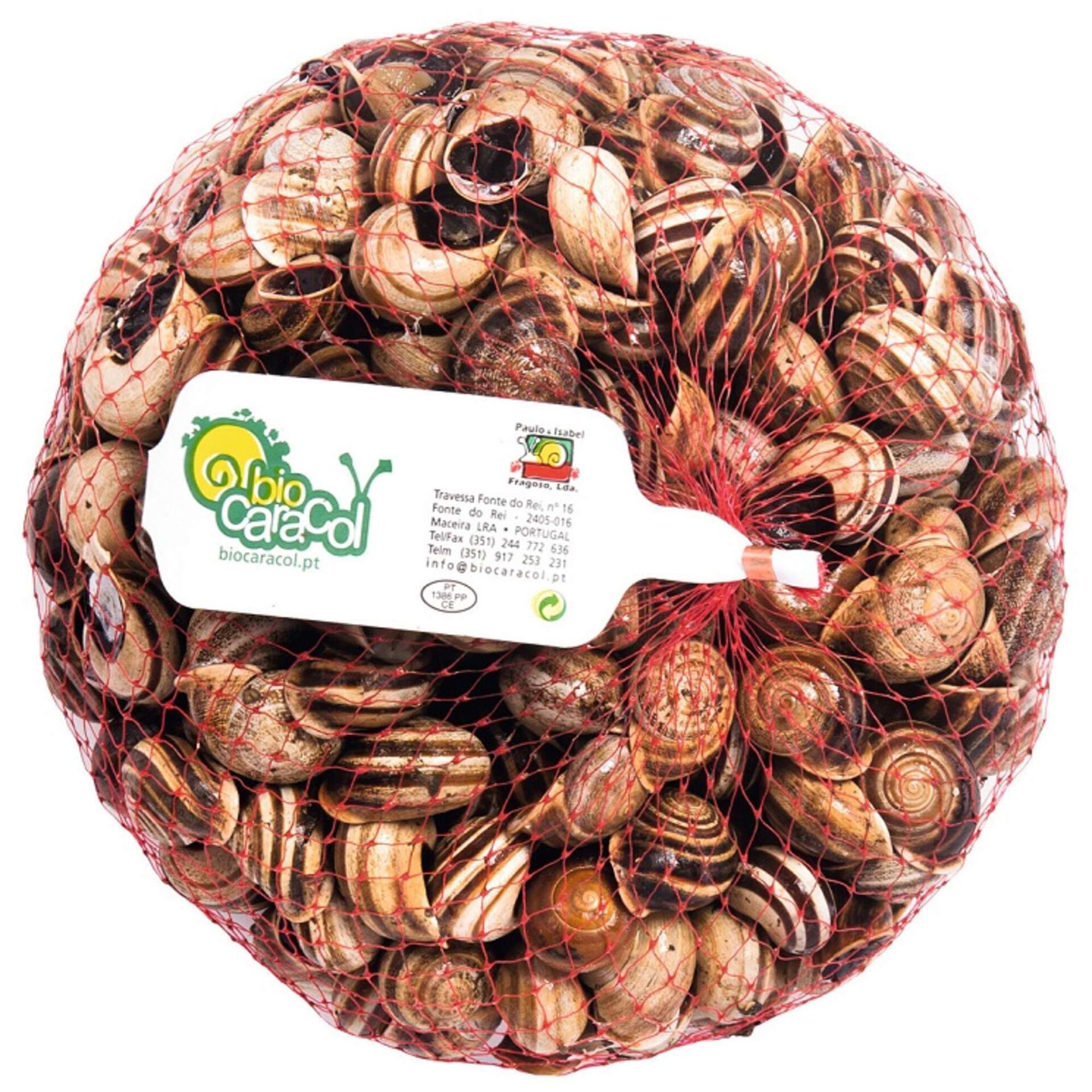 Caracol Riscado Caracol Riscado