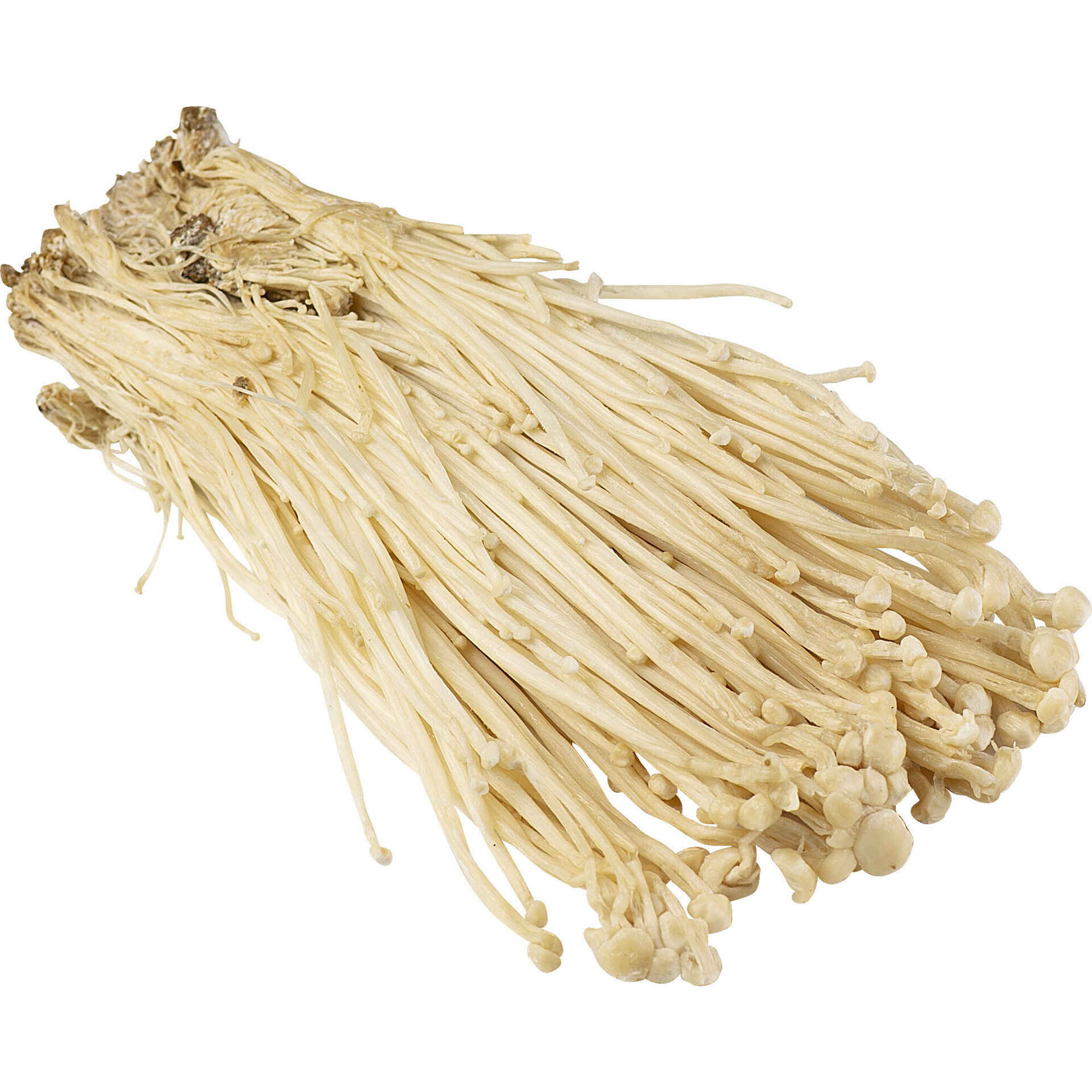 Cogumelo Enoki Fresco Cogumelo Enoki Fresco