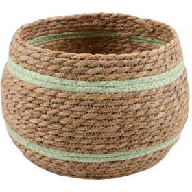 Cesto Redondo 22,5cm Risca Verde