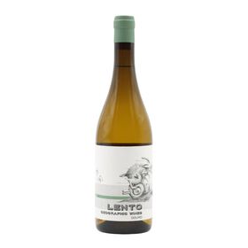 Geographic Wines Lento Douro Vinho Branco