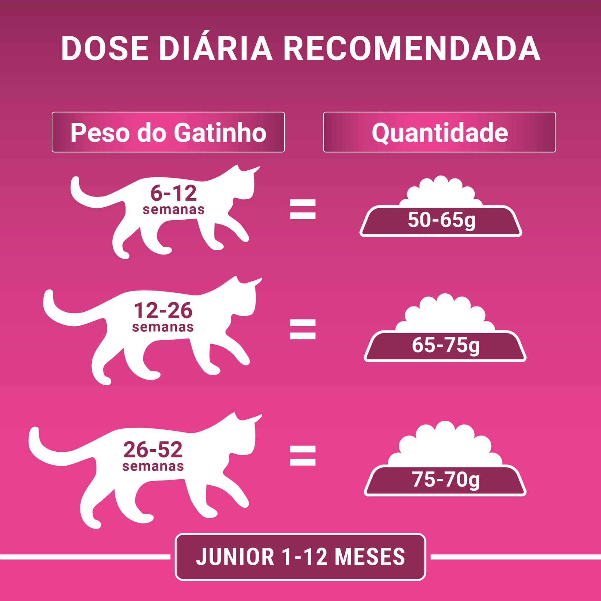 Ra&ccedil;&atilde;o para Gato J&uacute;nior Salm&atilde;o Purina One