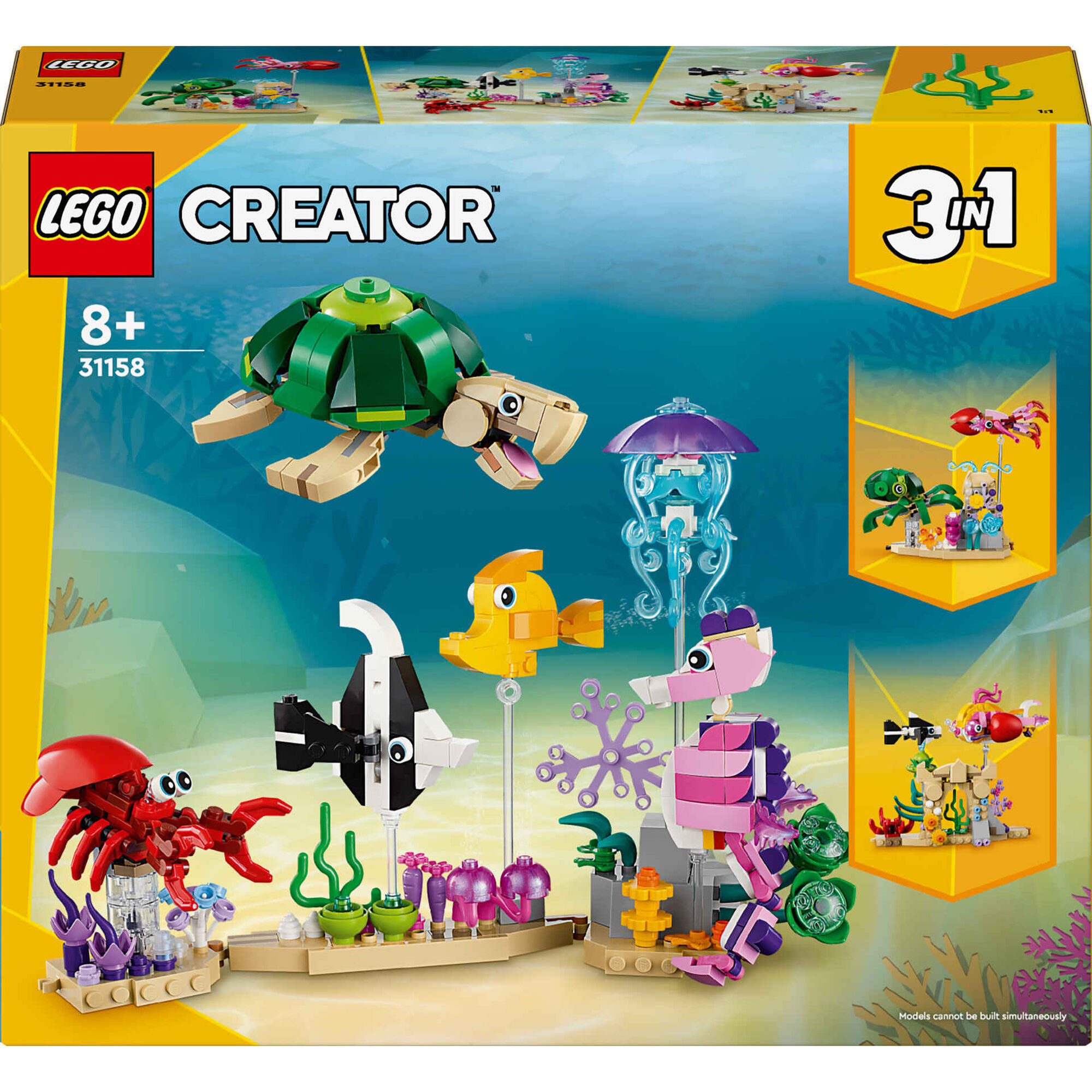 Animais Marinhos - 31158
