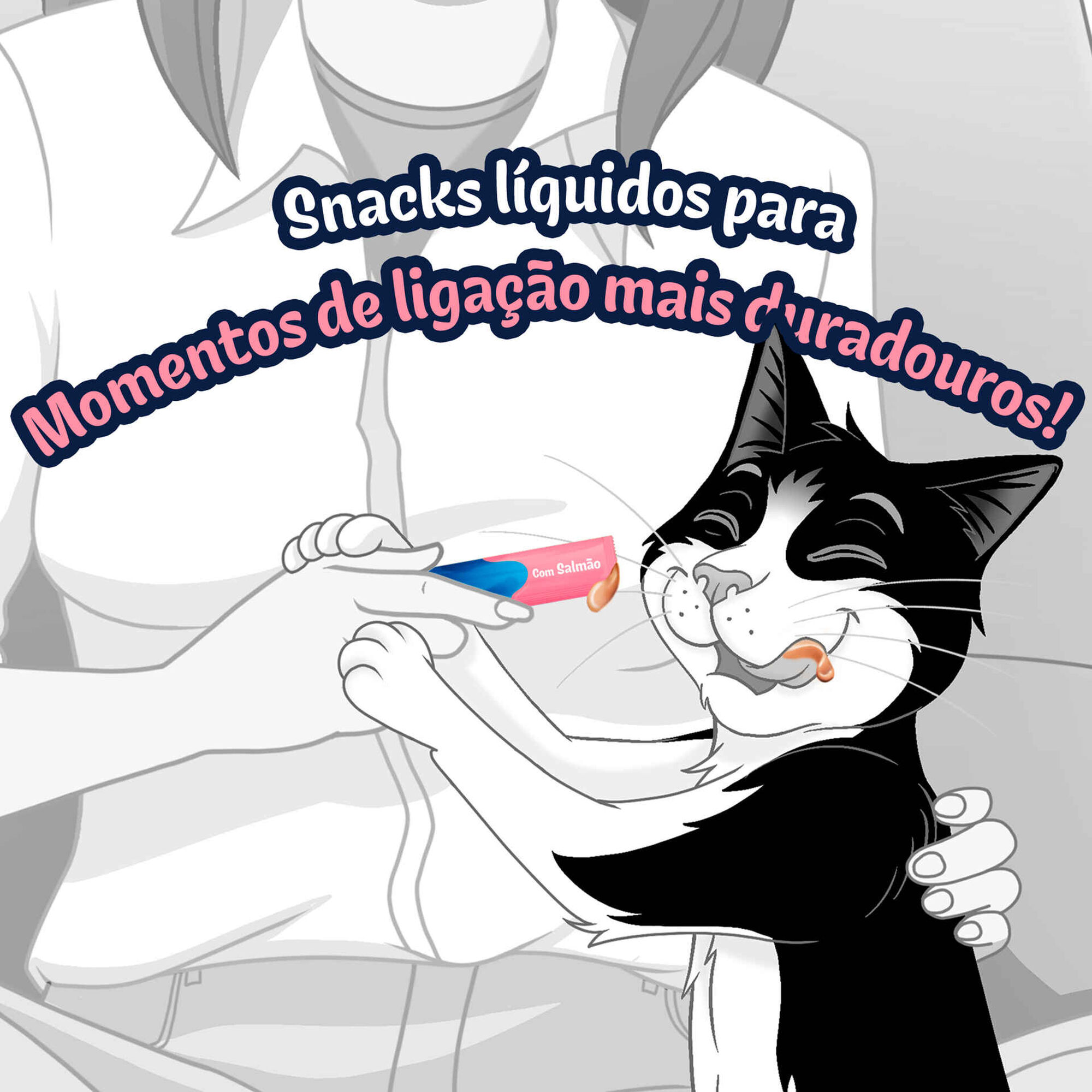 Snack Líquido para Gato Deli Moments Salmão Saquetas