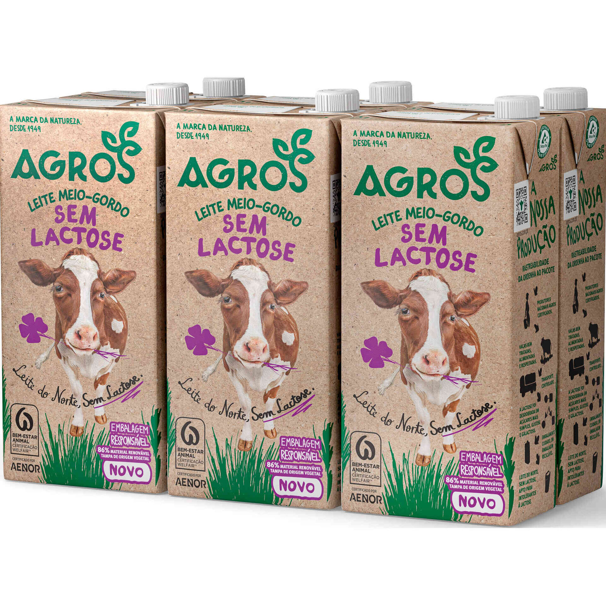 Leite Meio Gordo sem Lactose Agros