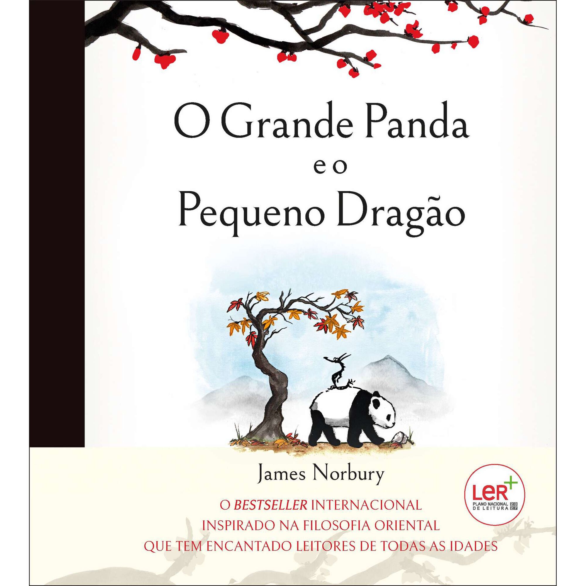 O Grande Panda e o Pequeno Dragão