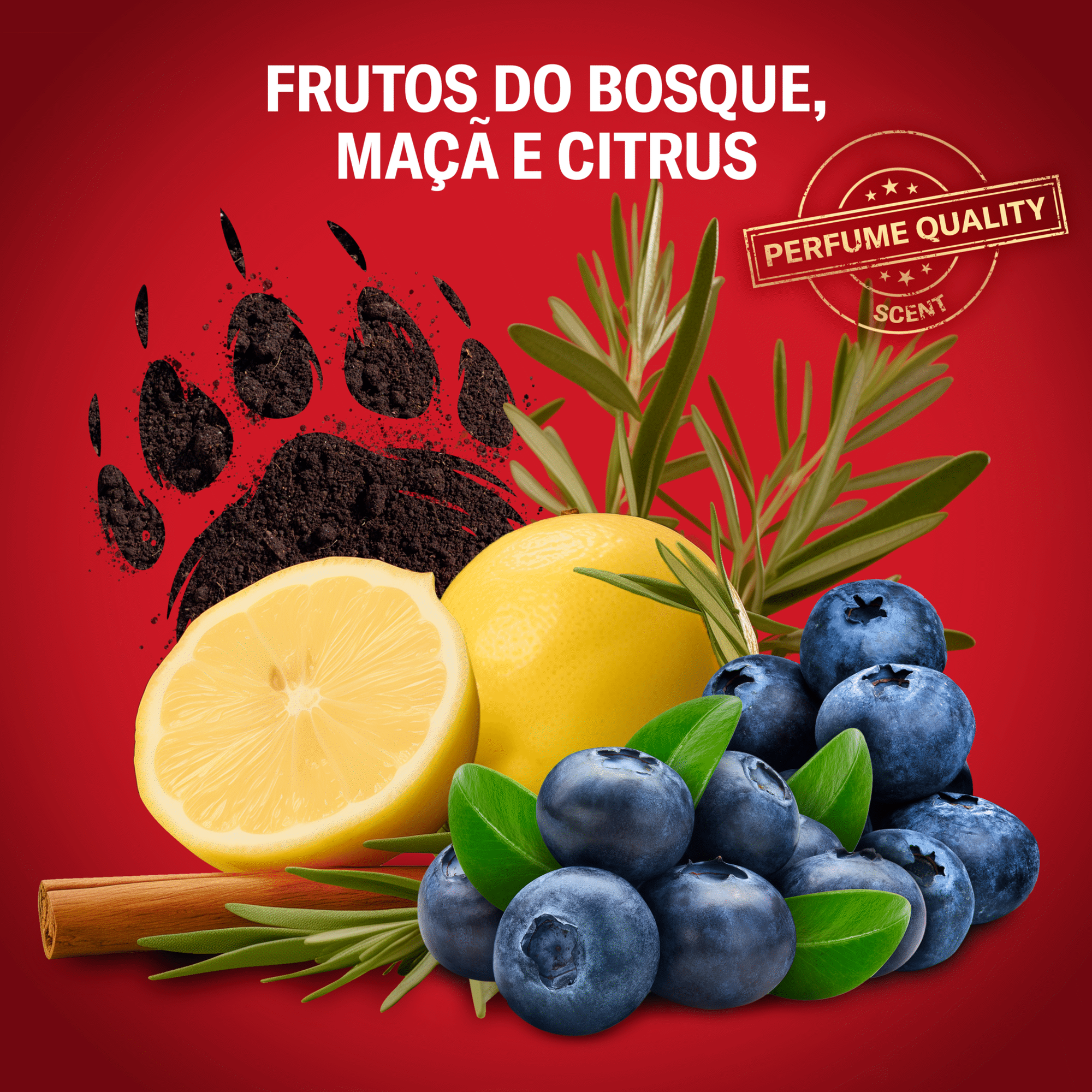 Gel de Banho 3 em 1 Bearglove