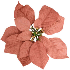 Poins&eacute;tias Vermelha Rosa