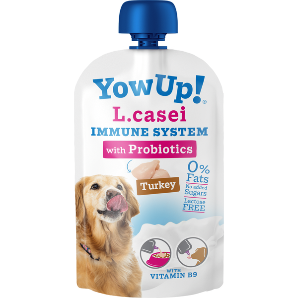 Iogurte para Cão Lcasei Probiótico Peru YowUP!