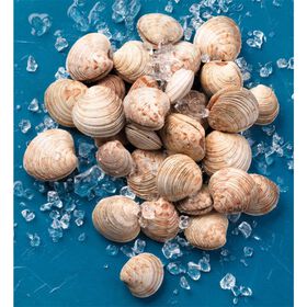 Pé de Burrico Fresco