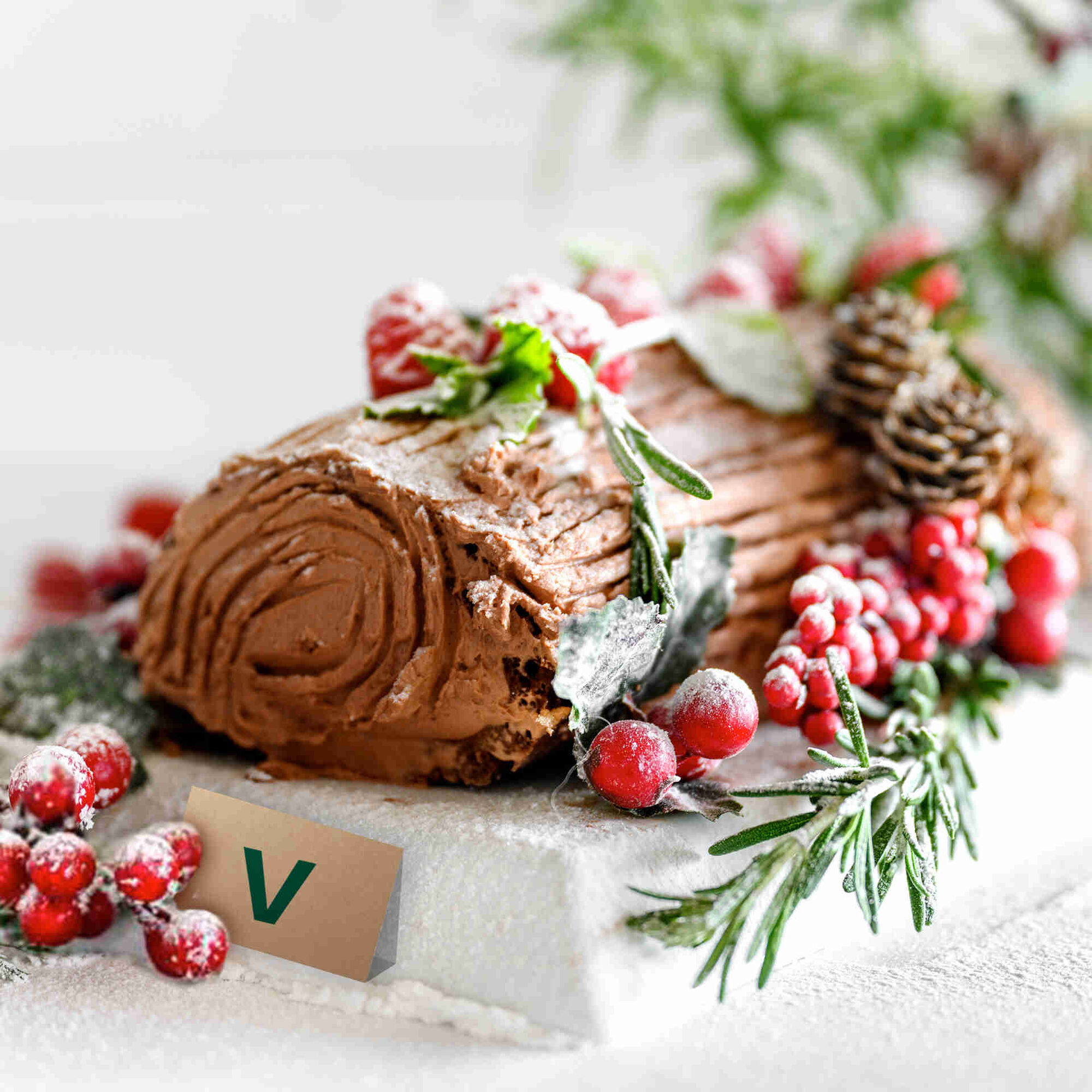 Tronco de Natal