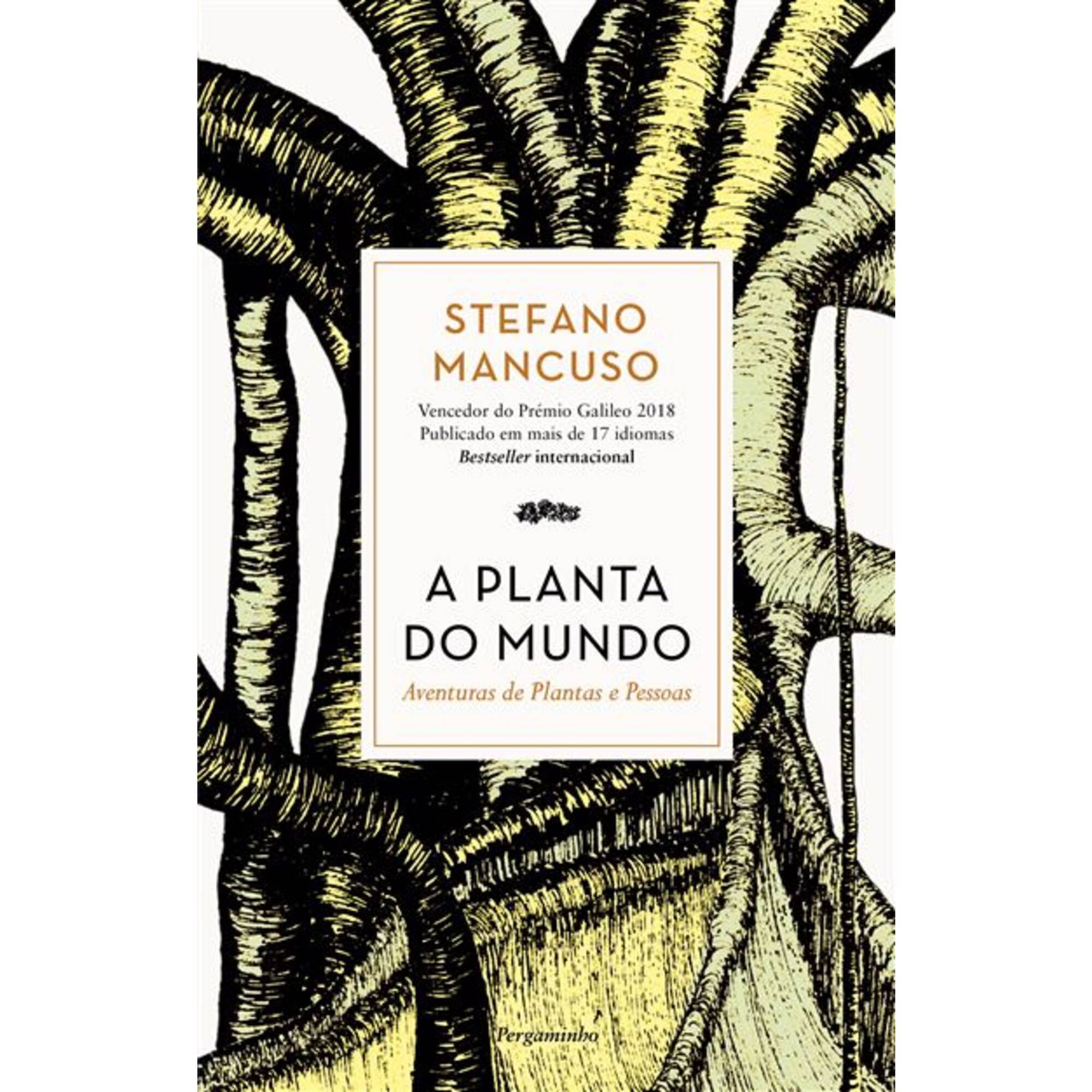 A Planta do Mundo A Planta do Mundo