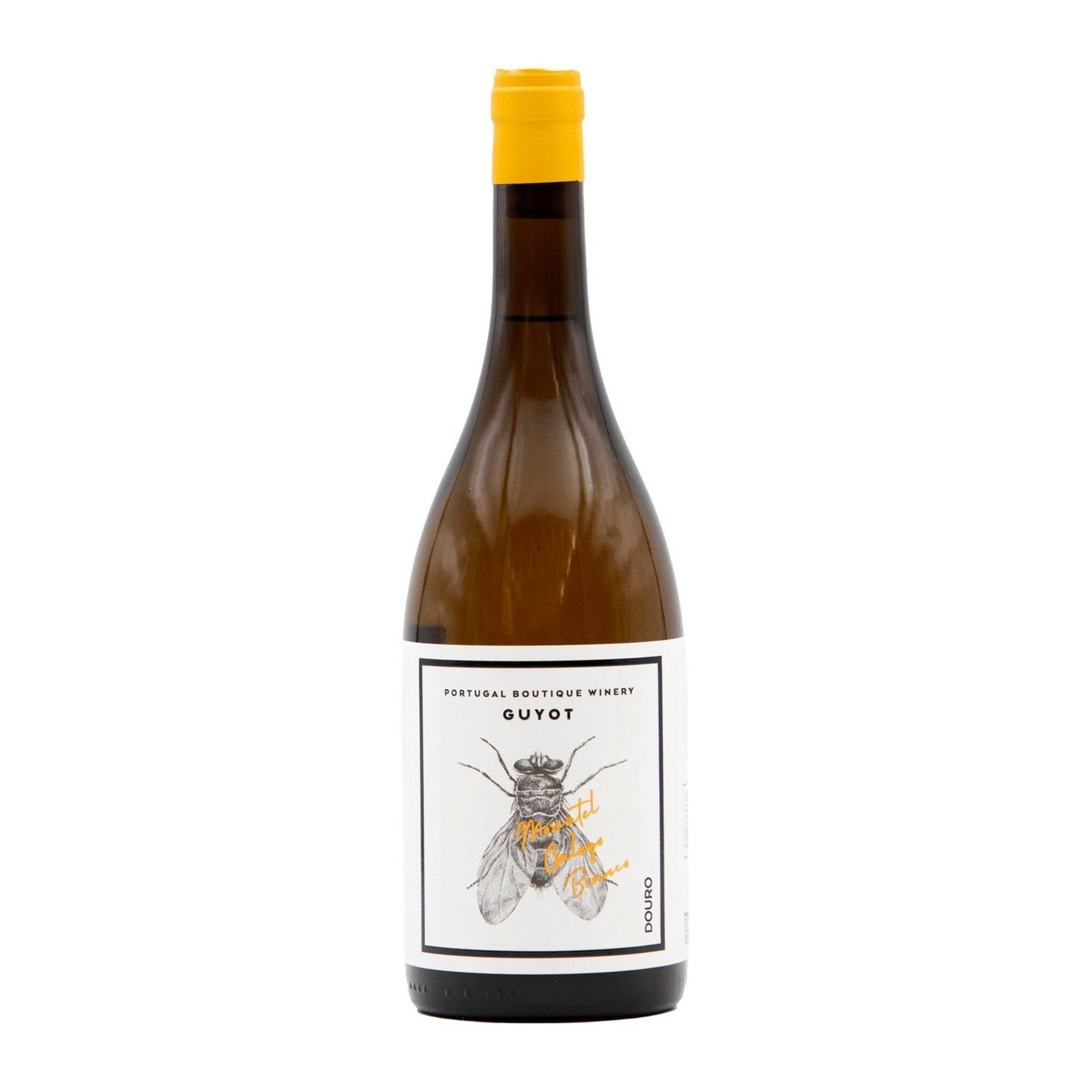 Guyot Moscatel Galego Douro Vinho Branco Guyot Moscatel Galego Douro Vinho Branco