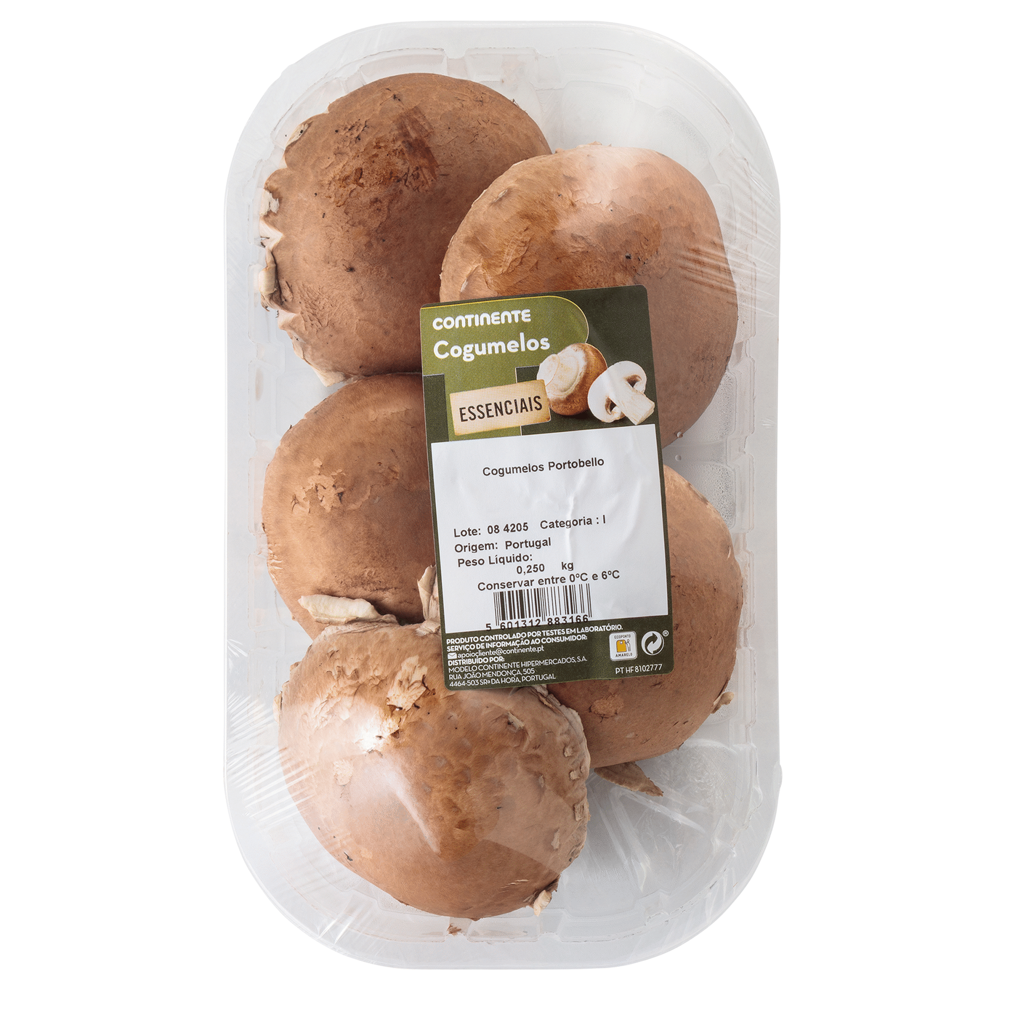 Cogumelo Portobello Fresco