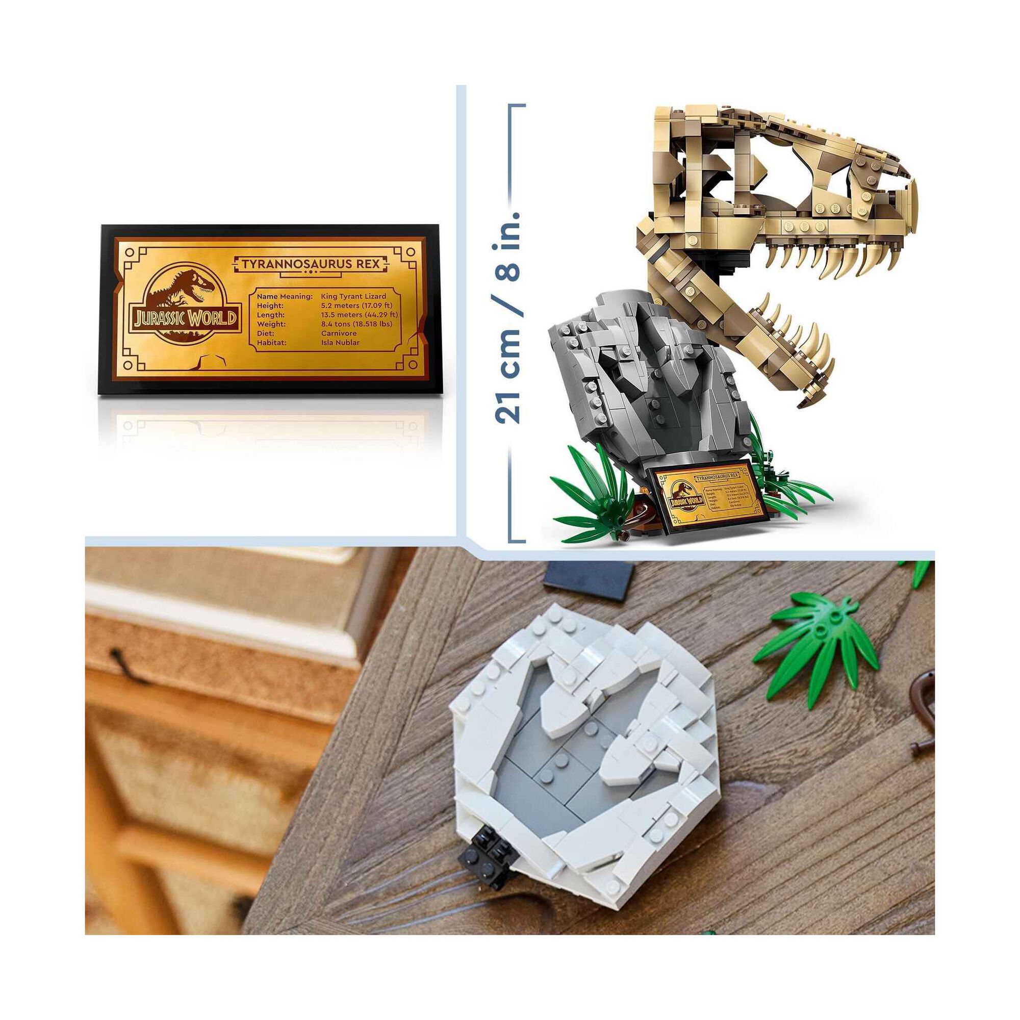 Fósseis de Dinossauros: T-Rex – Caveira - 76964