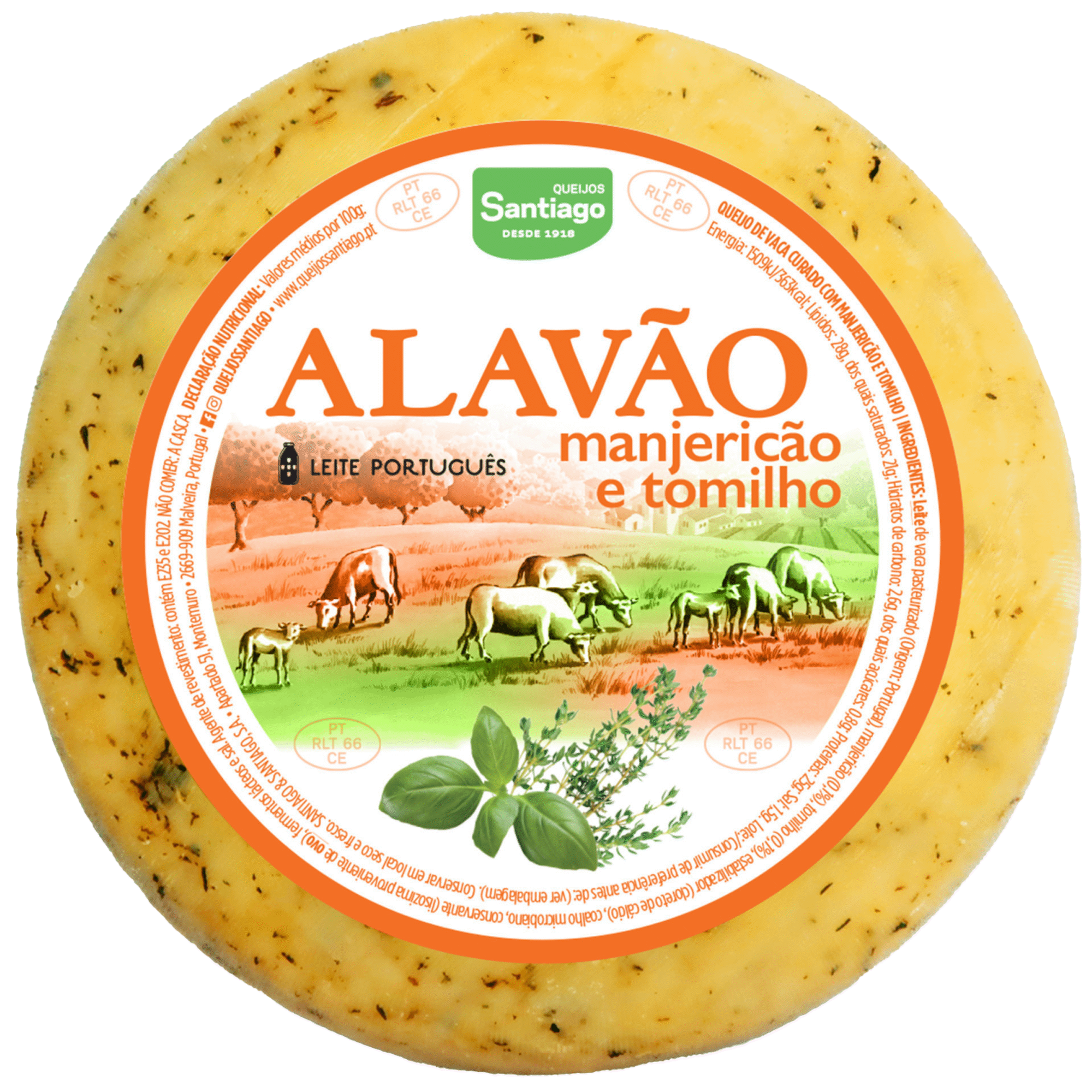 Queijo de Vaca Curado com Manjericão e Tomilho