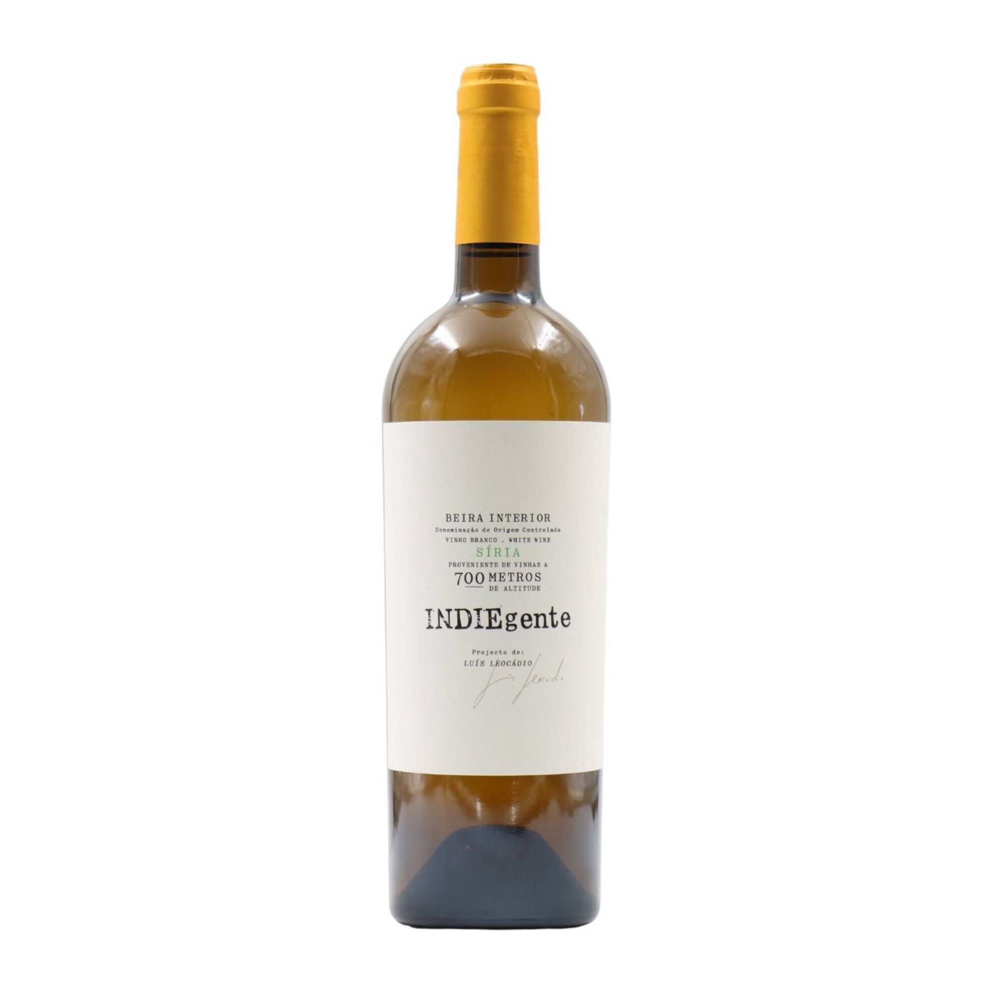 Indiegente Beiras Vinho Branco