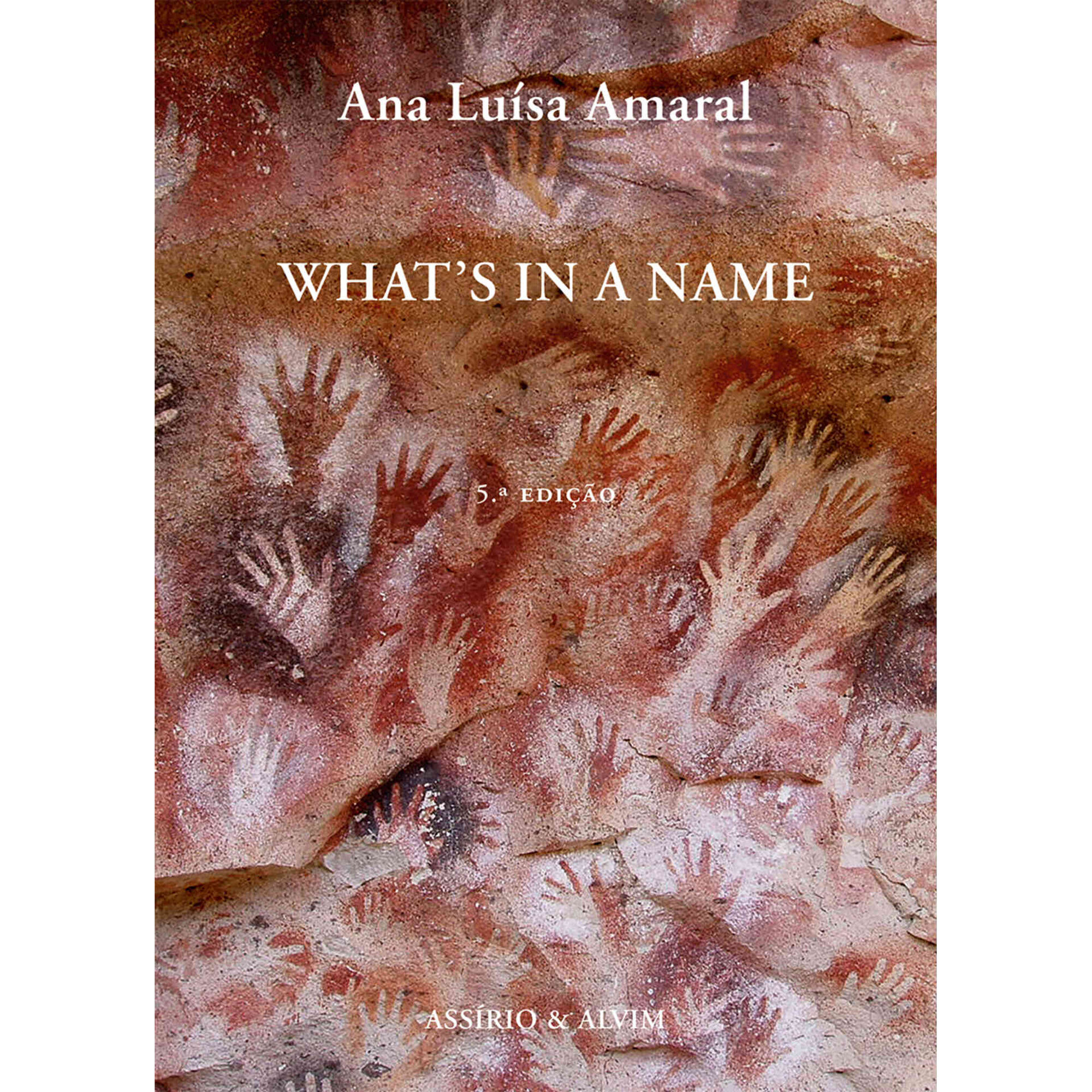 What's in a Name de Ana Lu&iacute;sa Amaral