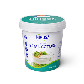 Iogurte sem Lactose Natural Mimosa