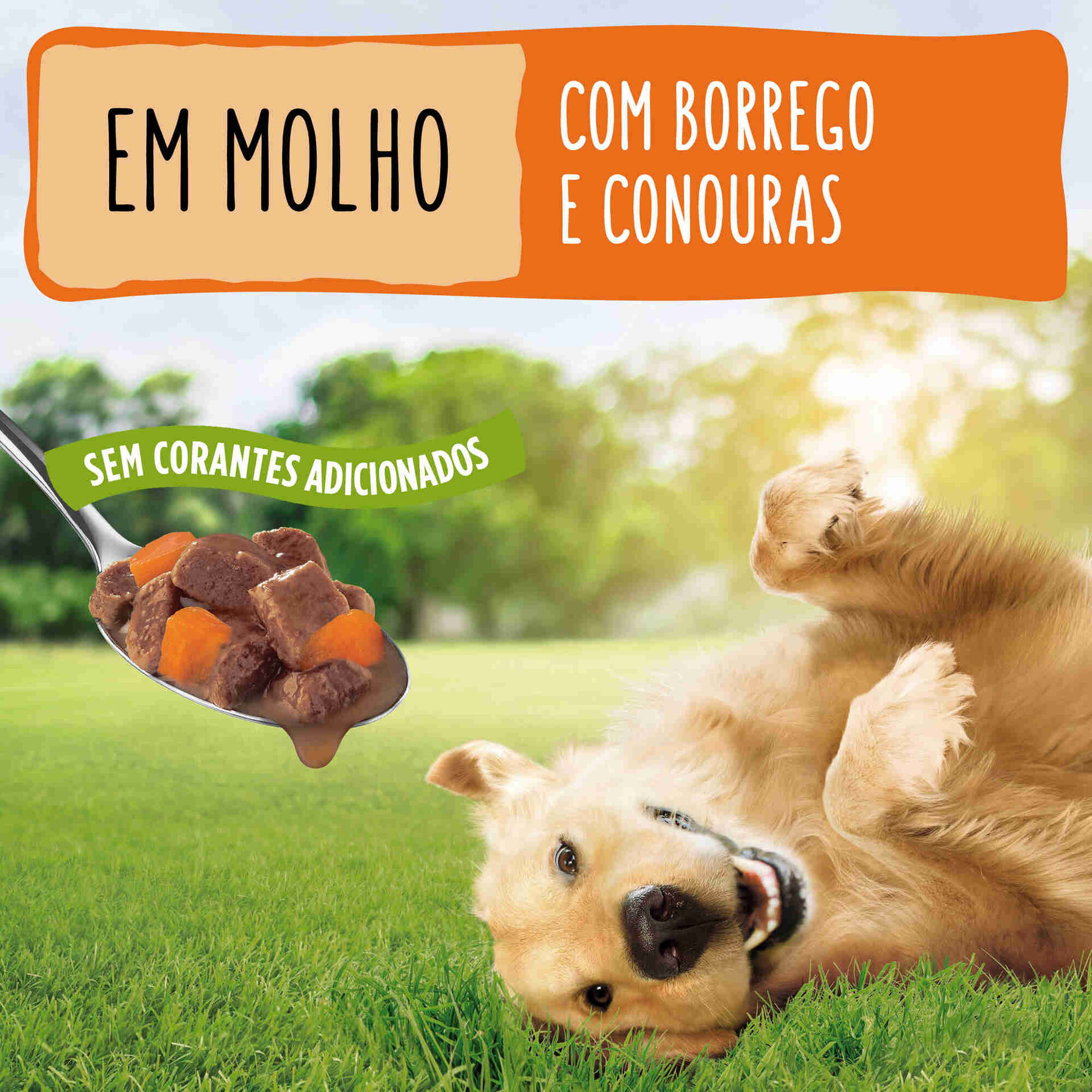 Comida Húmida para Cão Adulto Gelatina Borrego