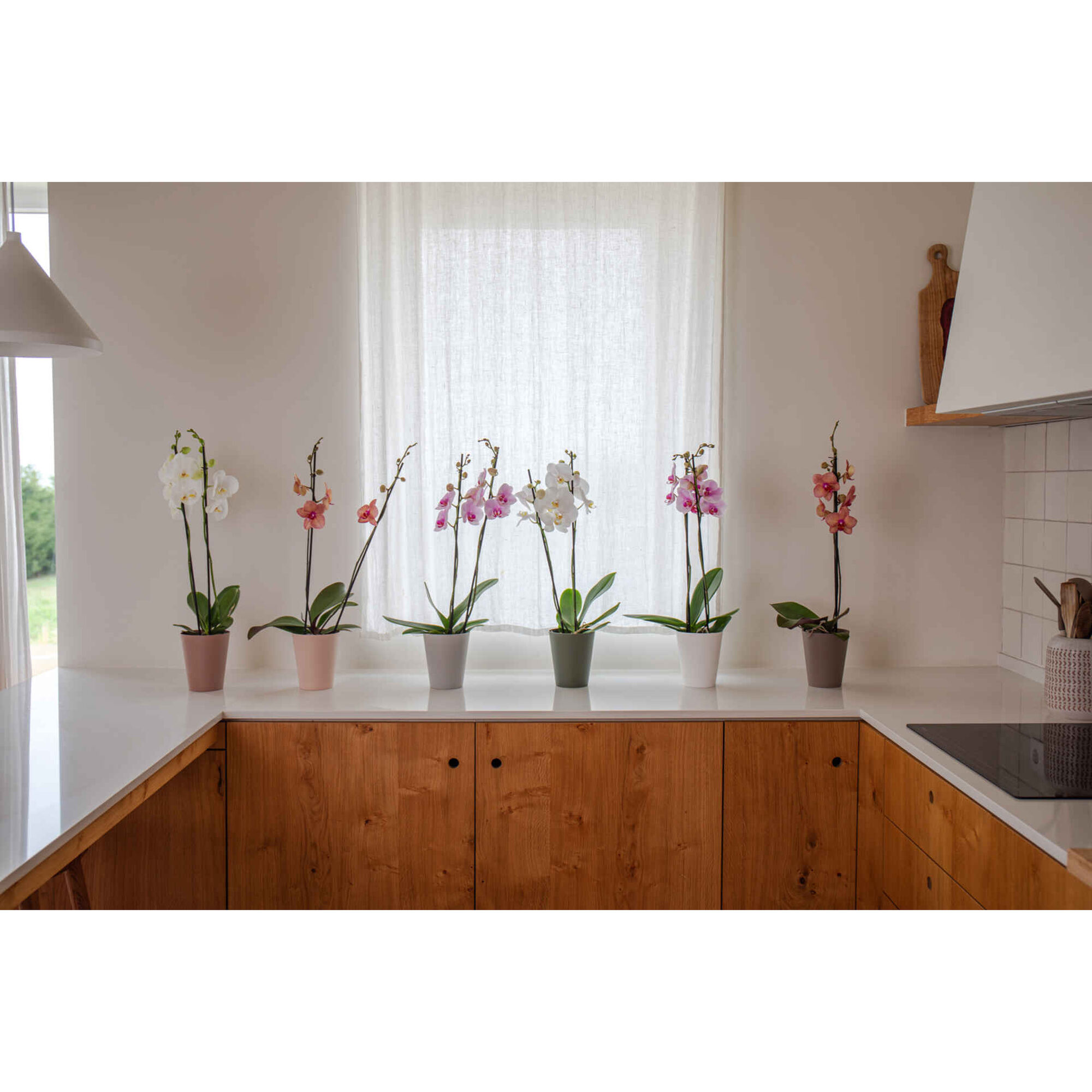 Vaso Redondo Plástico 12,5cm Branco