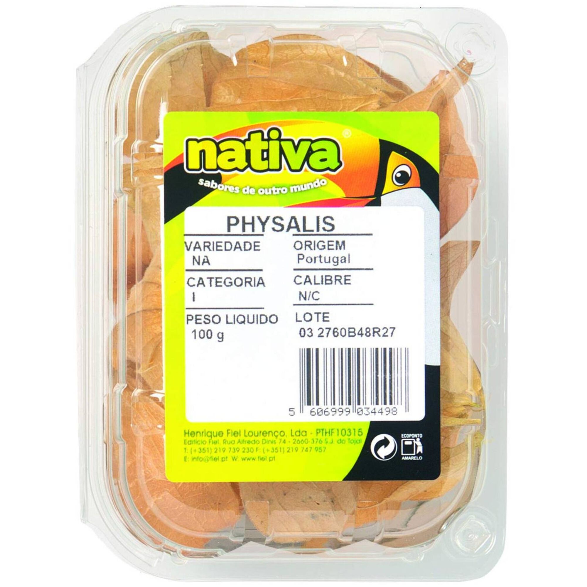 Physalis