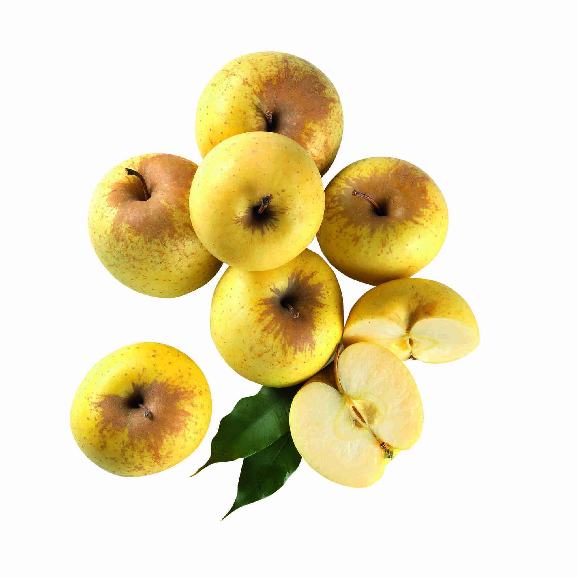 Maçã Golden Resíduo Zero
