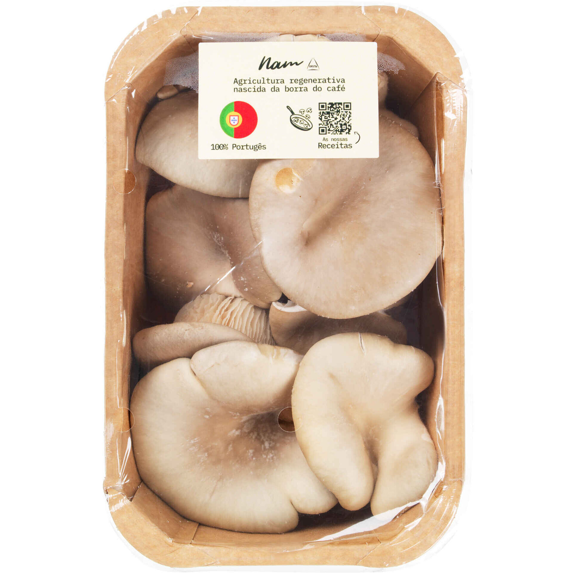 Cogumelo Pleurotus Nam