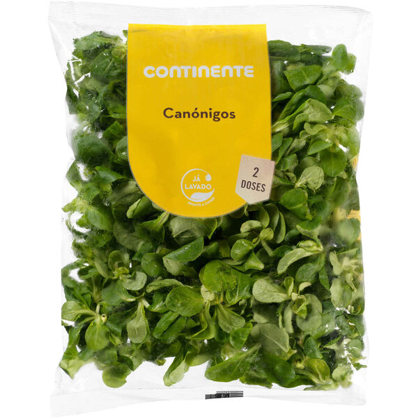 Canónigos Continente