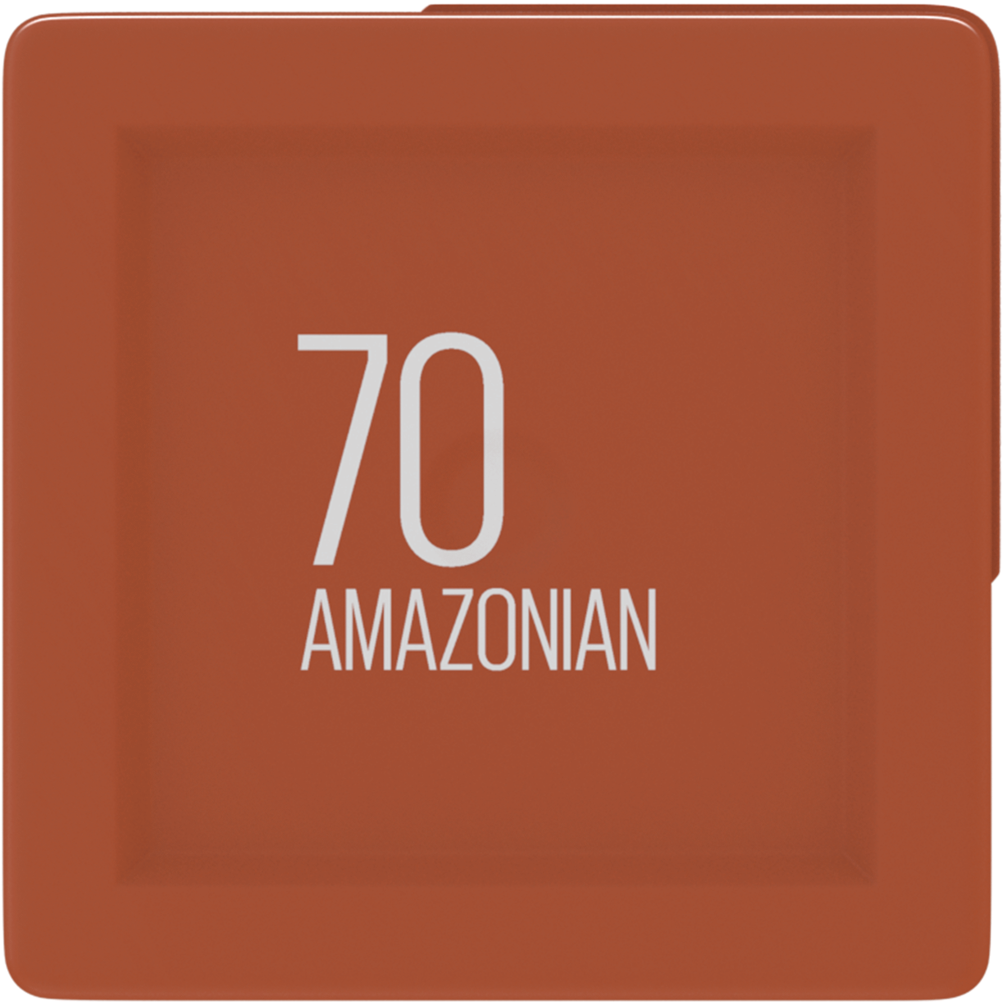 Batom L&iacute;quido SuperStay Matte Ink Amazonian 70 Maybelline New York