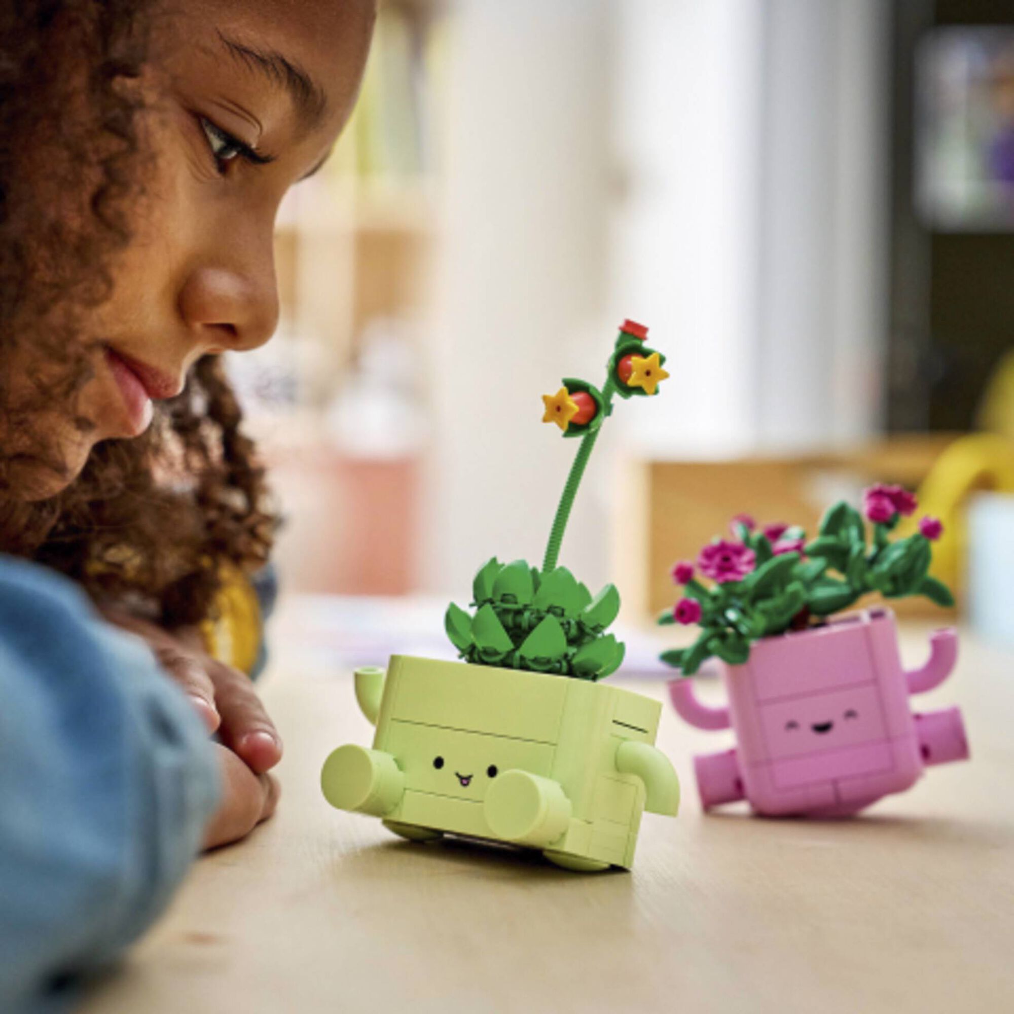 LEGO Botanicals - Plantas de Balan&ccedil;ar - 11506