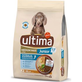 Ra&ccedil;&atilde;o para C&atilde;o J&uacute;nior M&eacute;dio e Maxi Frango e Arroz Affinity Ultima