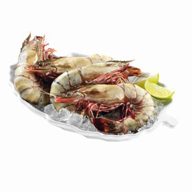 Camarão Tigre Selvagem Grande Congelado