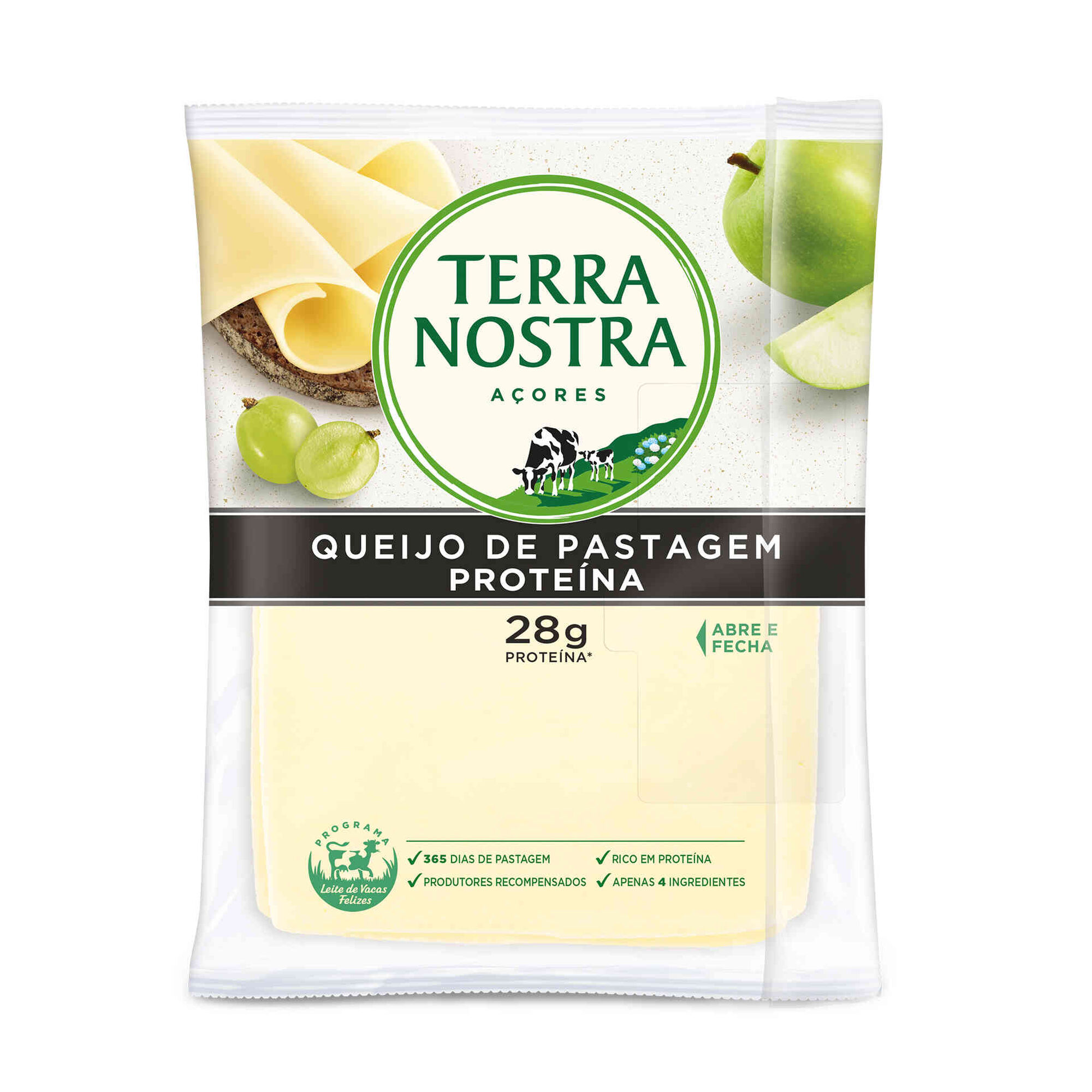 Queijo Flamengo sem Lactose Proteína Fatiado