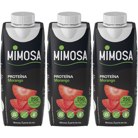 Leite Proteína Morango sem Lactose Leite Proteína Morango sem Lactose