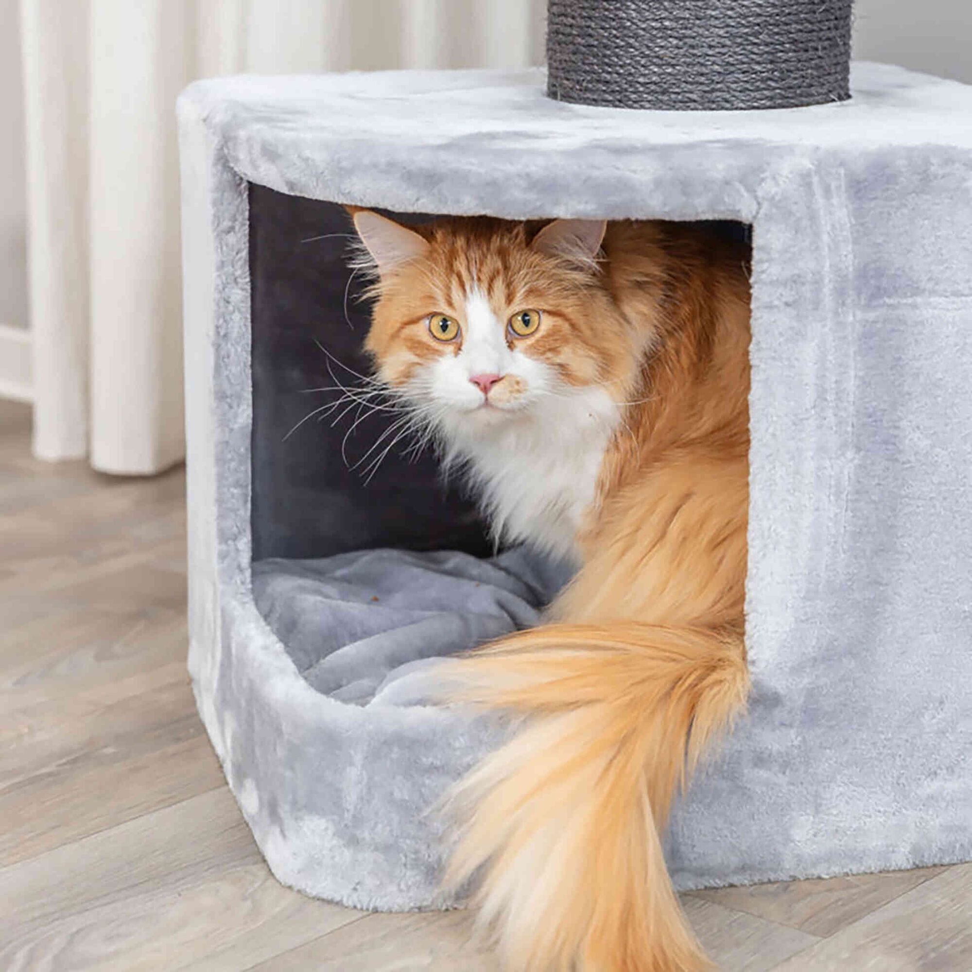 Arranhador para Gato Ava II Cinza