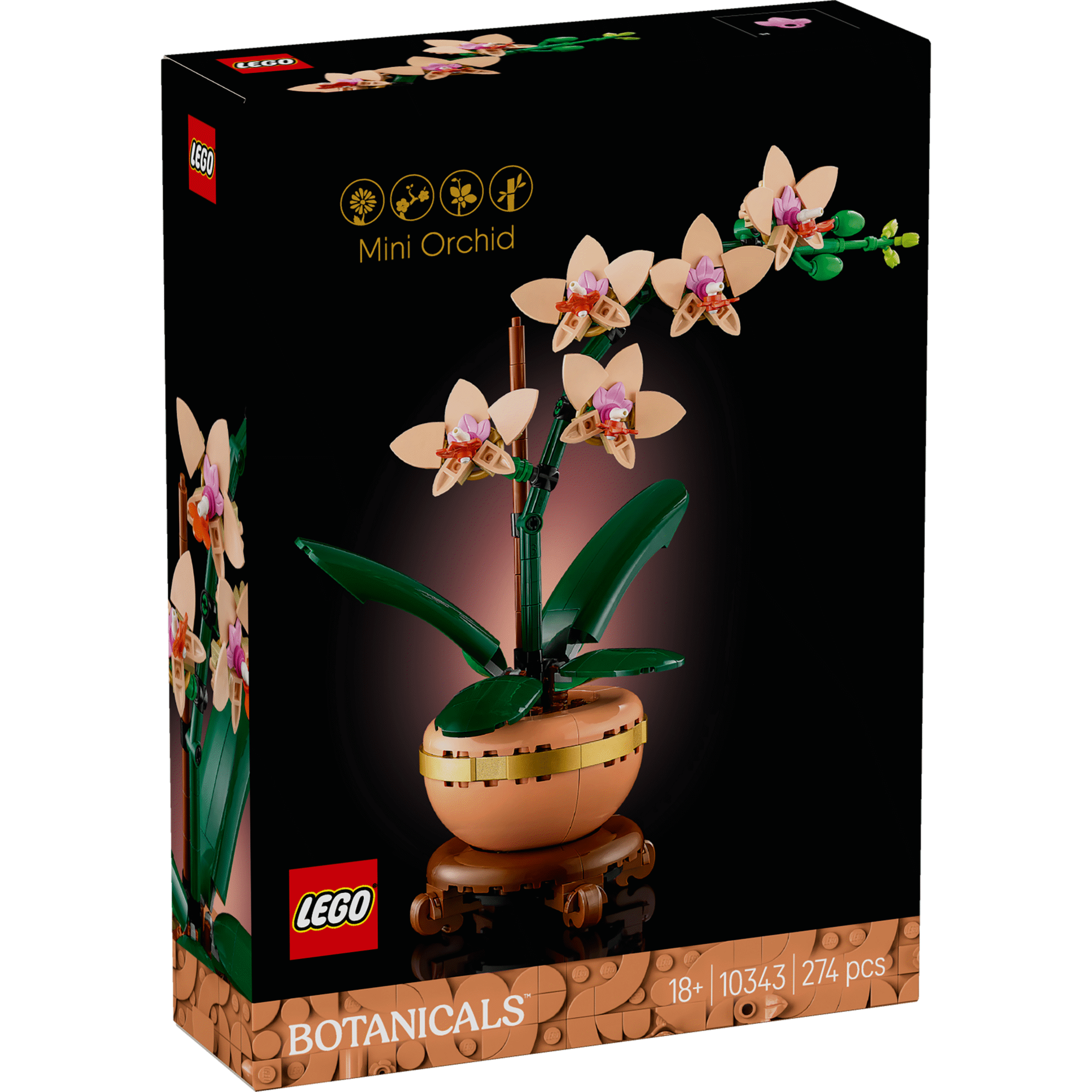 Orqu&iacute;dea em Miniatura - 10343