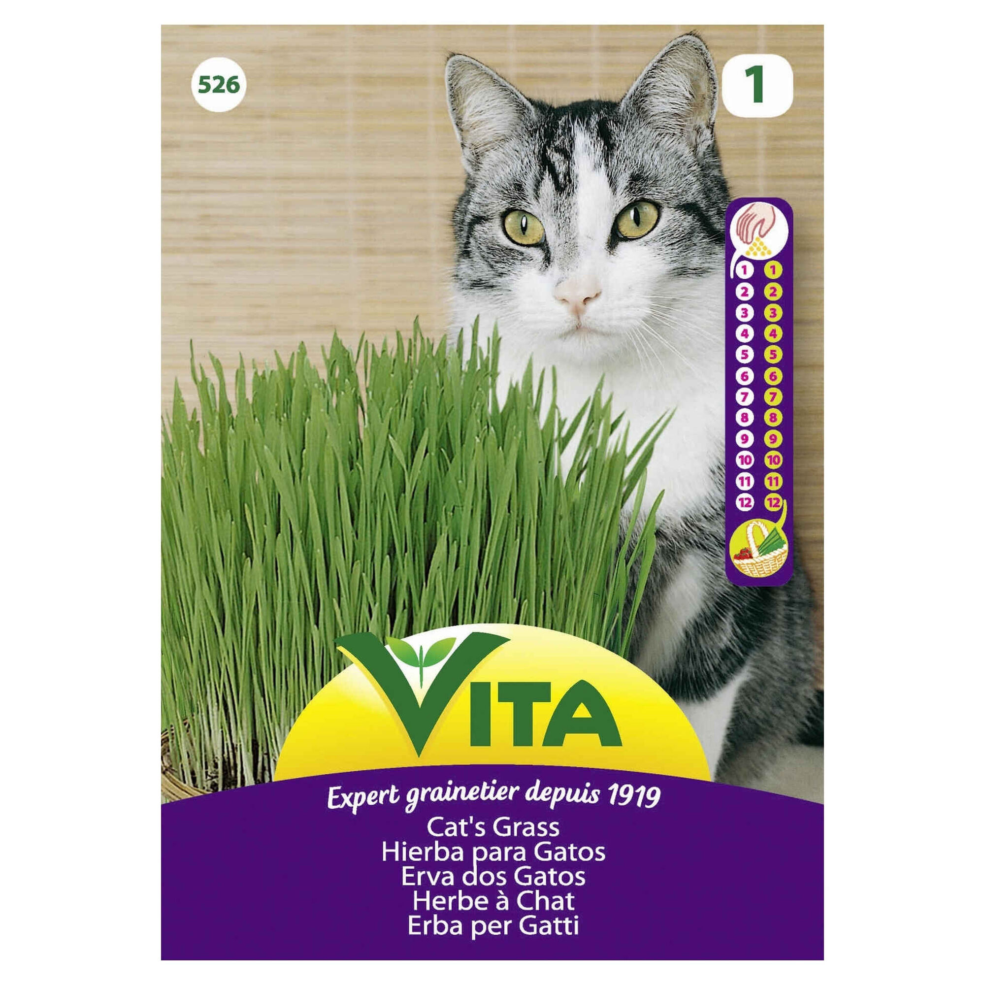 Sementes Erva Aromática para Gatos Sementes Erva Aromática para Gatos