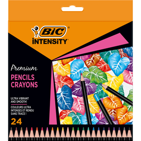 L&aacute;pis de Cor Intensity Premium Bic