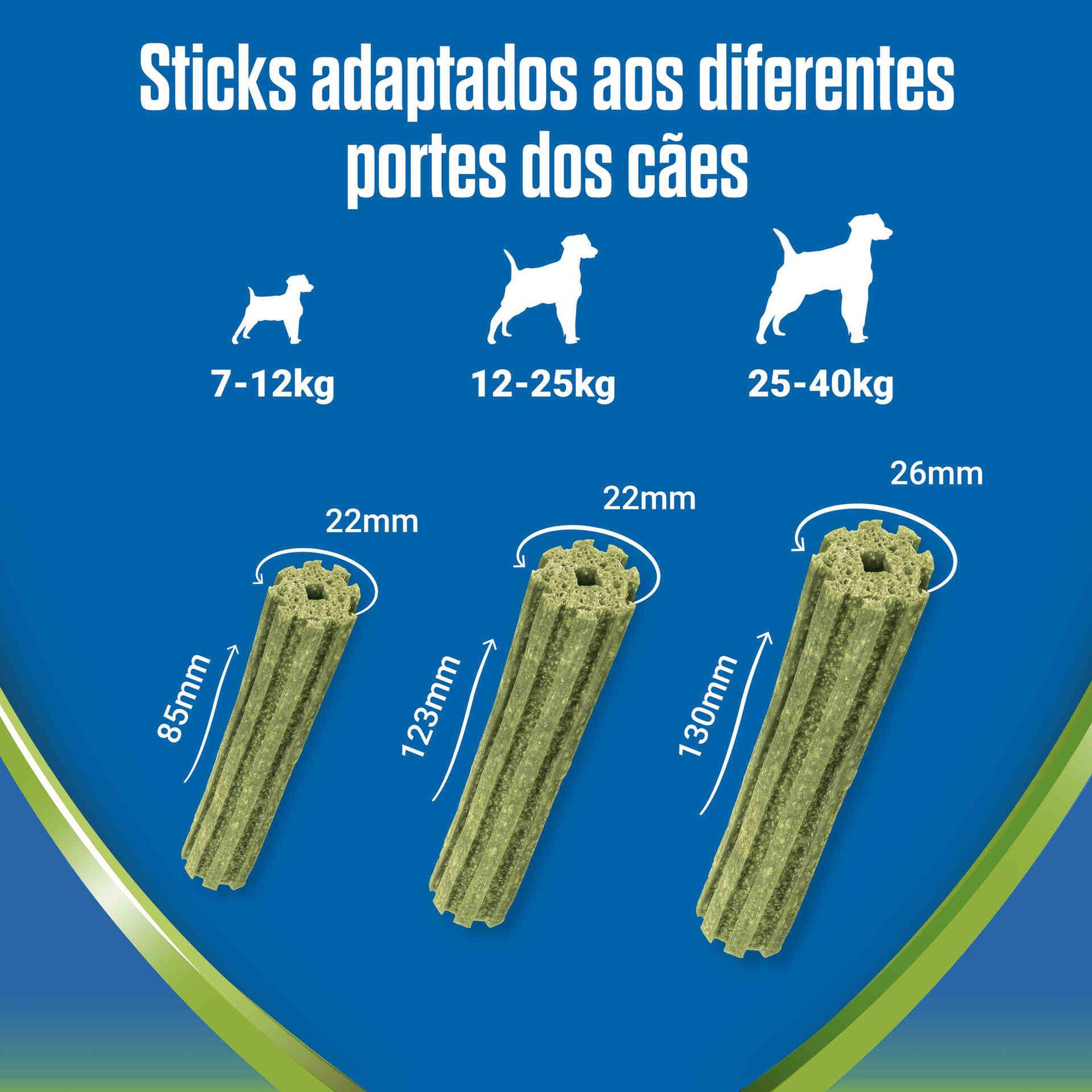 Snack para Cão Médio Activefresh