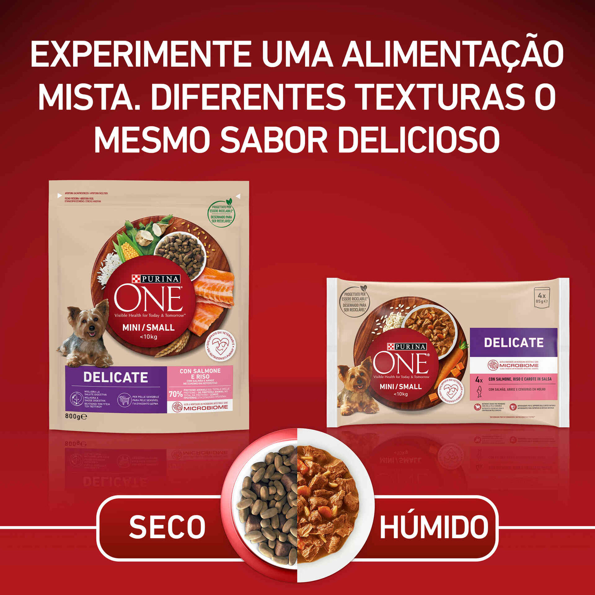 Ração para Cão Adulto Mini Delicate Salmão e Arroz