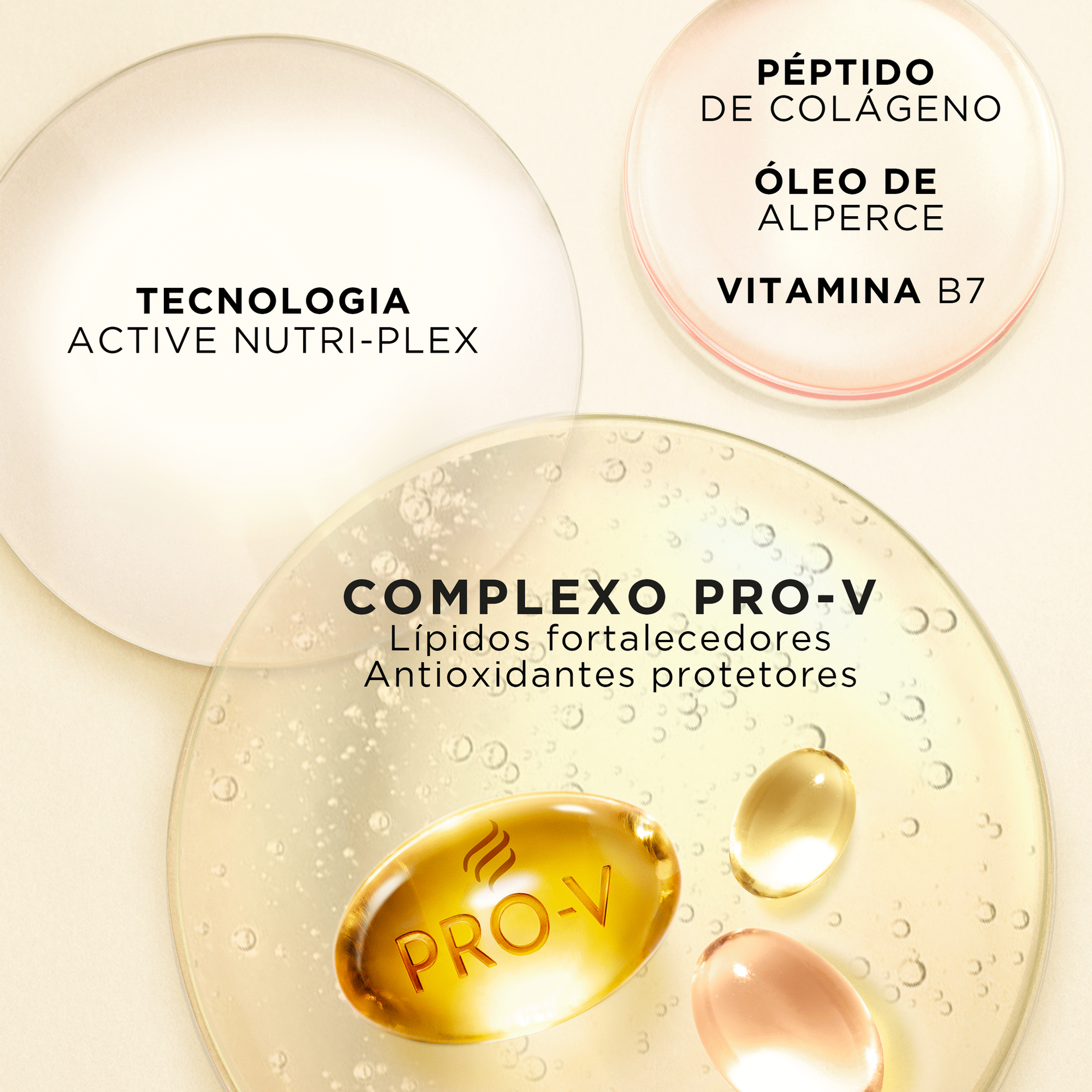Champ&ocirc; Pro-V Active Nutri-Plex Repara e Protege Pantene