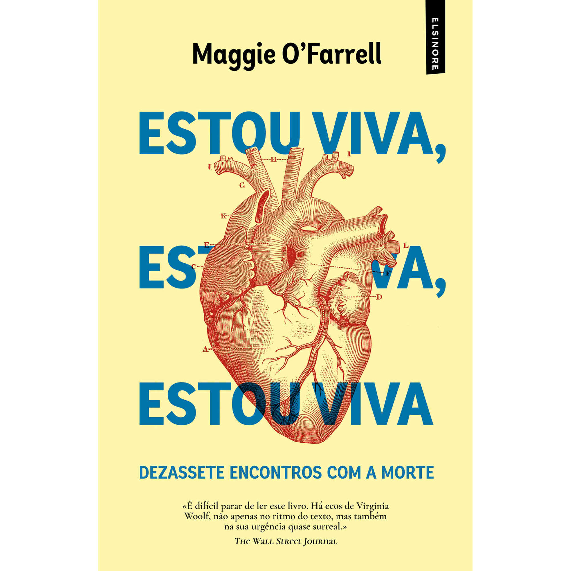 Estou Viva, Estou Viva, Estou Viva de Maggie O'Farrell