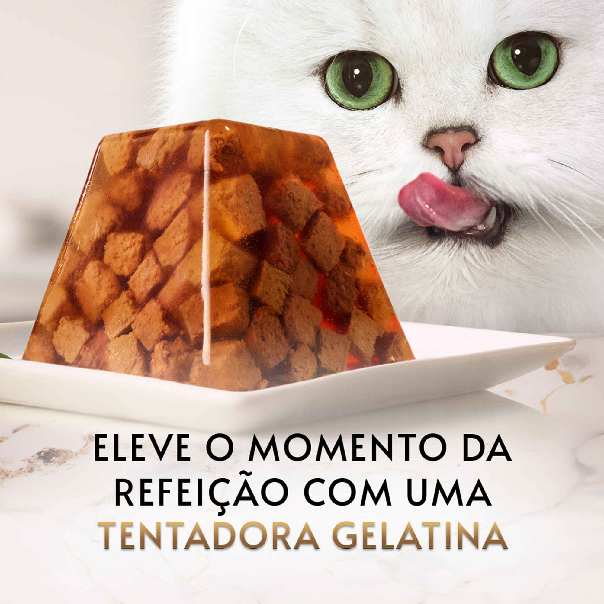 Comida H&uacute;mida para Gato Adulto Finos Peda&ccedil;os em Gelatina Frango