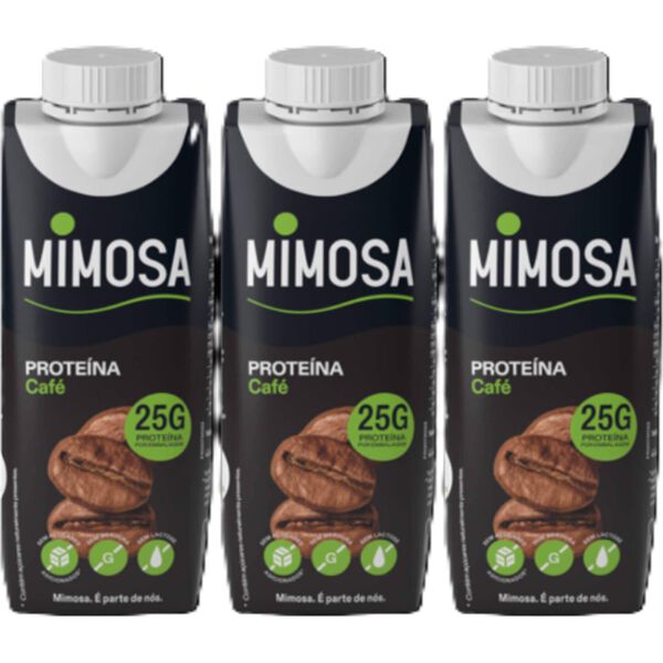 Leite Proteína Café sem Lactose Mimosa