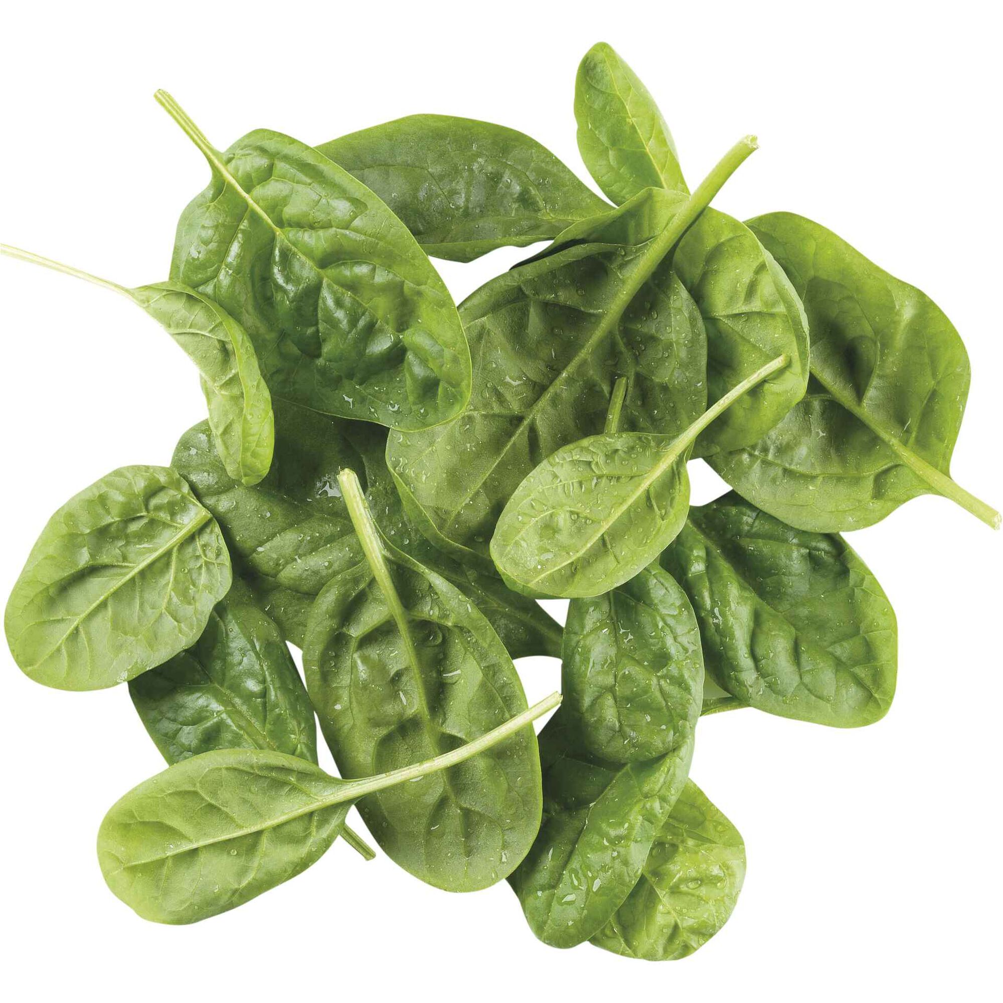 Espinafre Baby Leaf Espinafre Baby Leaf