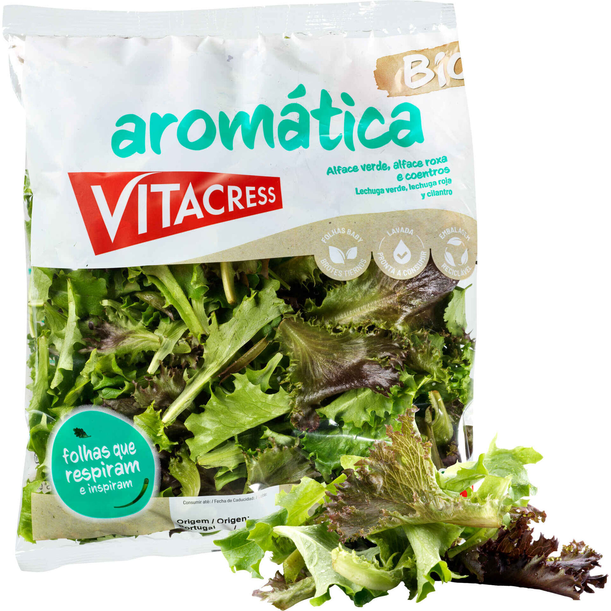 Salada Arom&aacute;tica Biol&oacute;gica