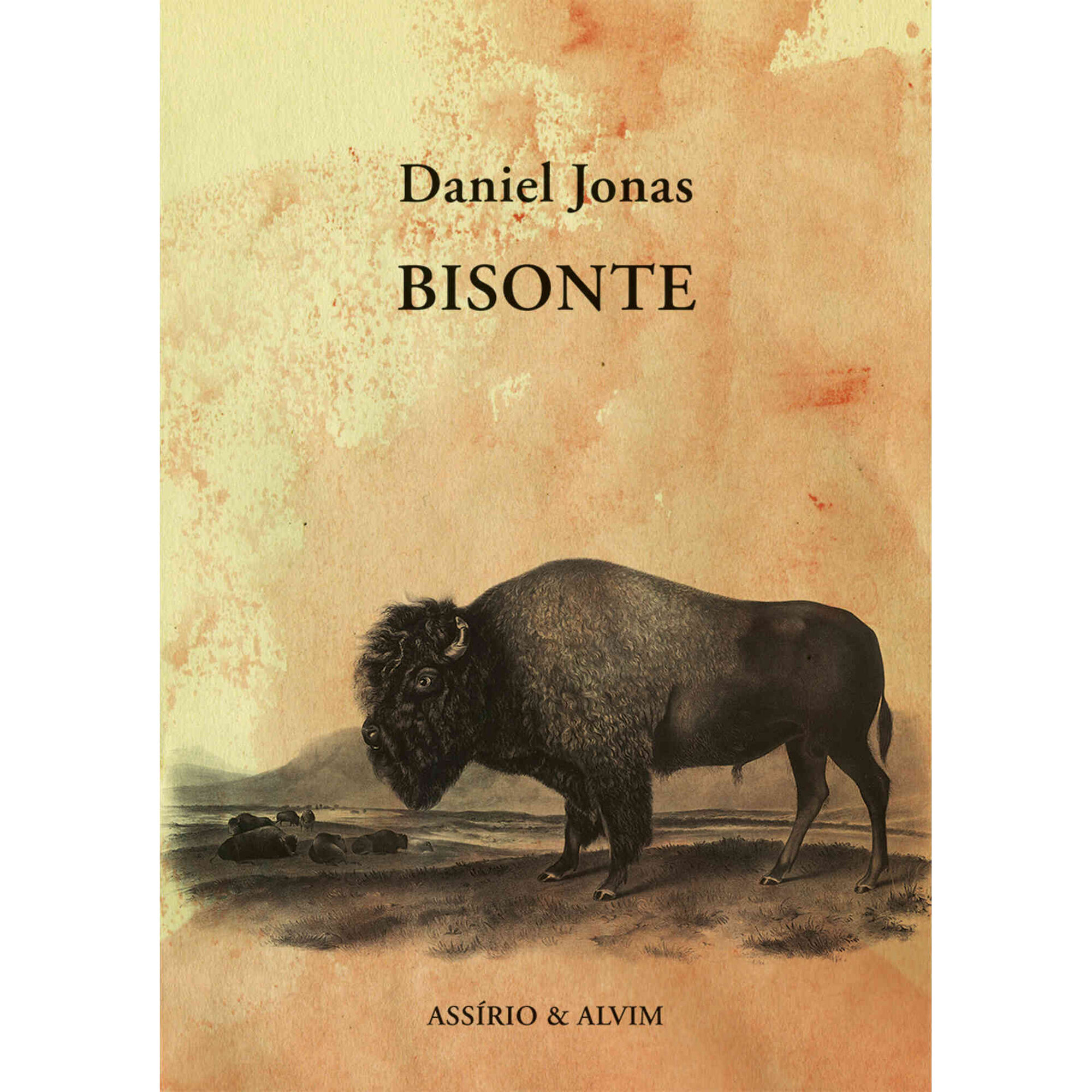 Bisonte de Daniel Jonas